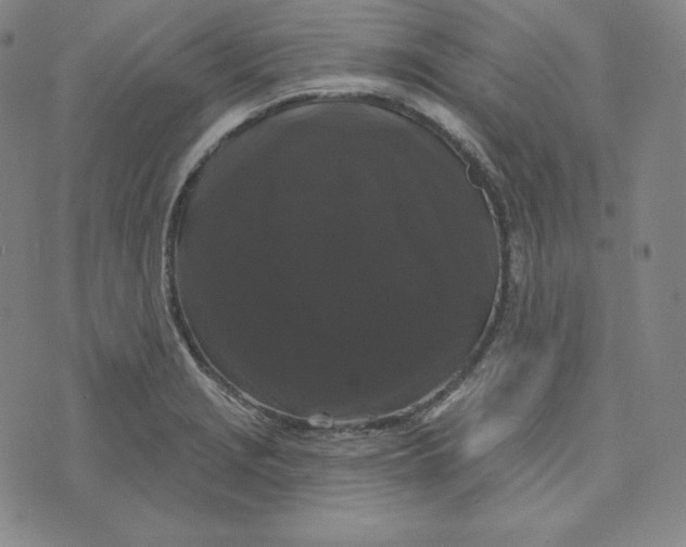 X0000074011229200609111615