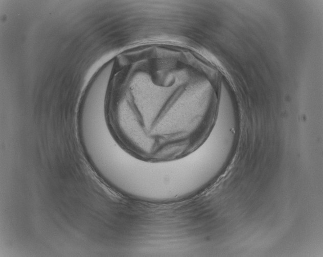 X0000074011230200609111615