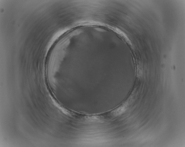 X0000074011231200609111615