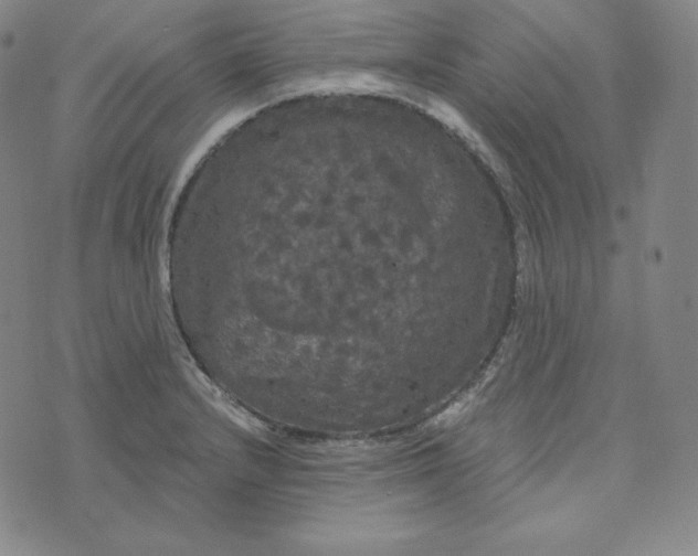 X0000074011232200609111615