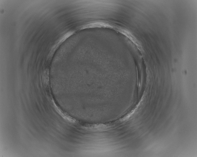 X0000074011233200609111615