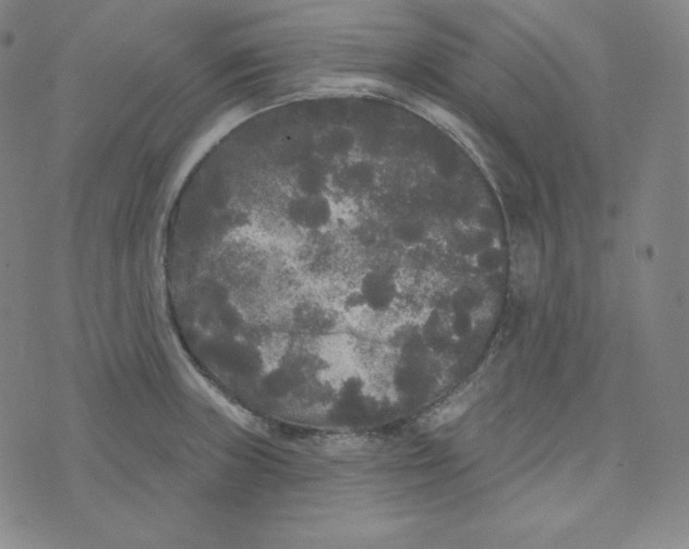 X0000074011235200609111615