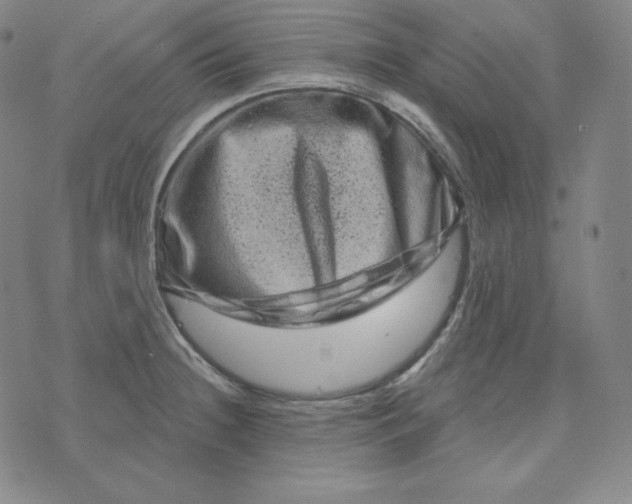 X0000074011236200609111615