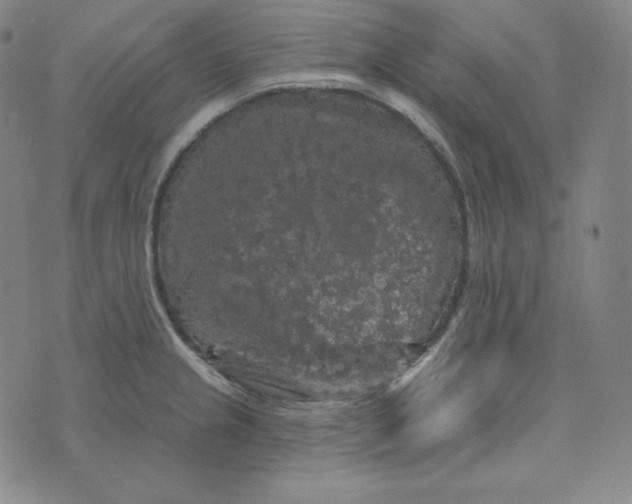 X0000074011237200609111615