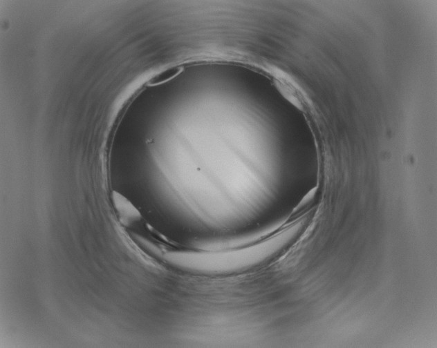 X0000074011238200609111615