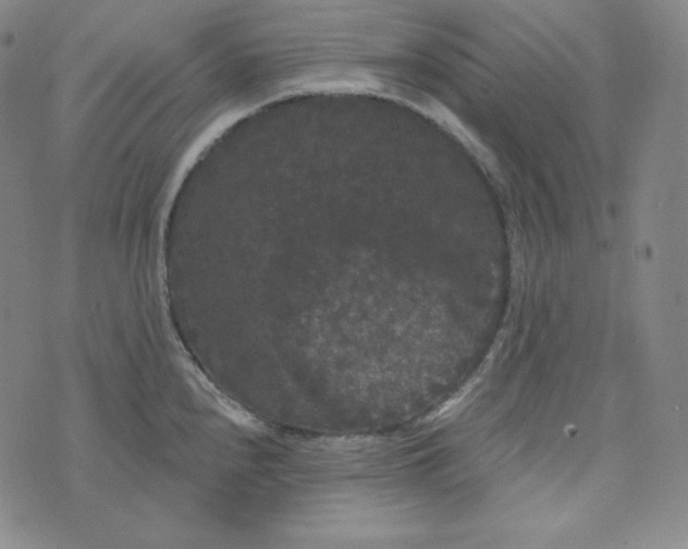 X0000074011240200609111615