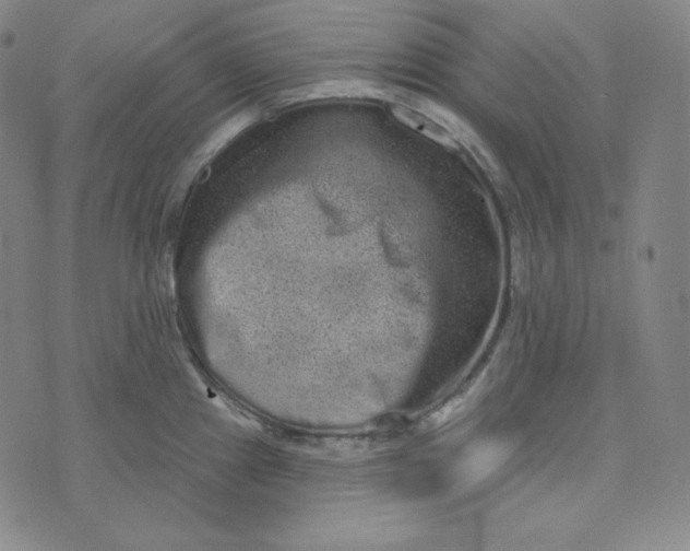 X0000074011241200609111615