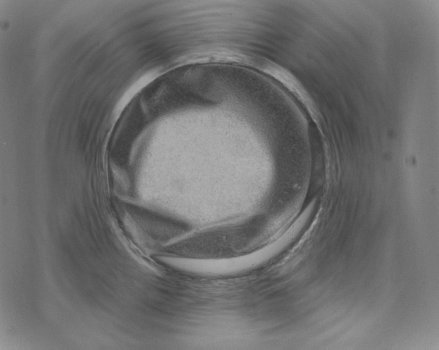 X0000074011242200609111615