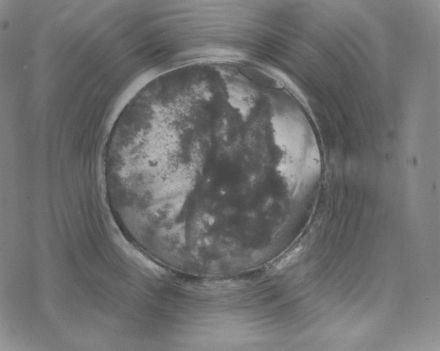 X0000074011243200609111615