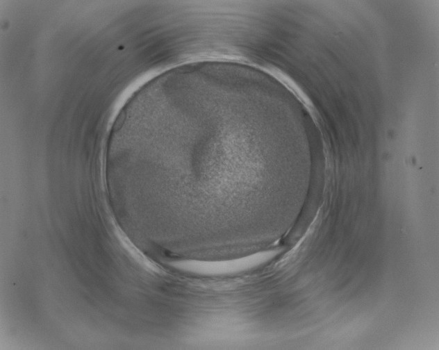 X0000074011246200609111615