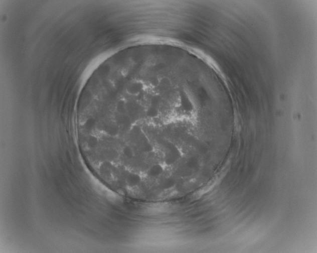 X0000074011247200609111615