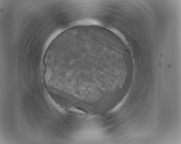 X0000074011248200609111615