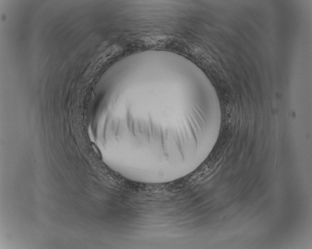 X0000074011249200609111615