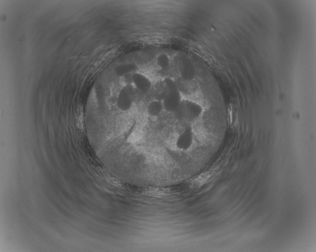 X0000074011251200609111615