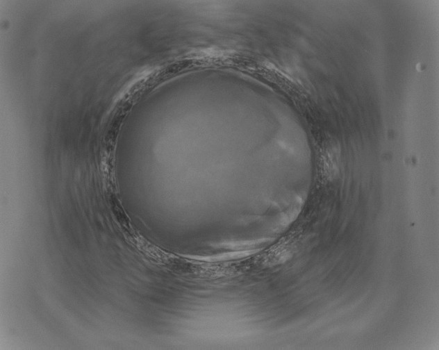 X0000074011254200609111615