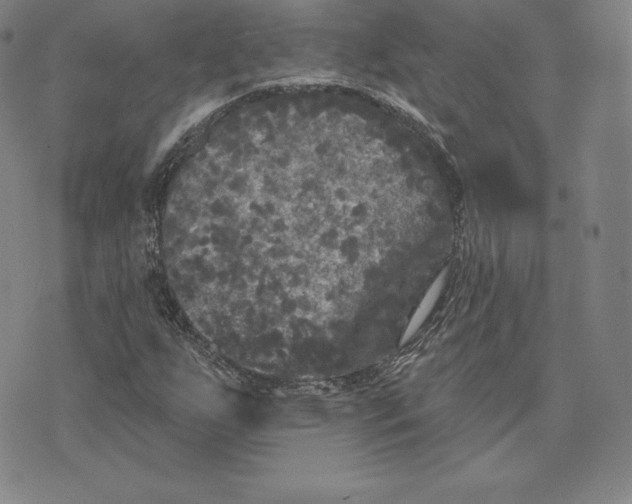 X0000074011255200609111615