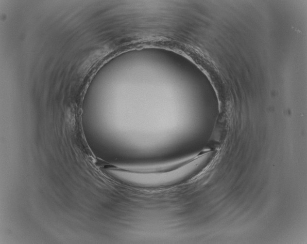 X0000074011257200609111615