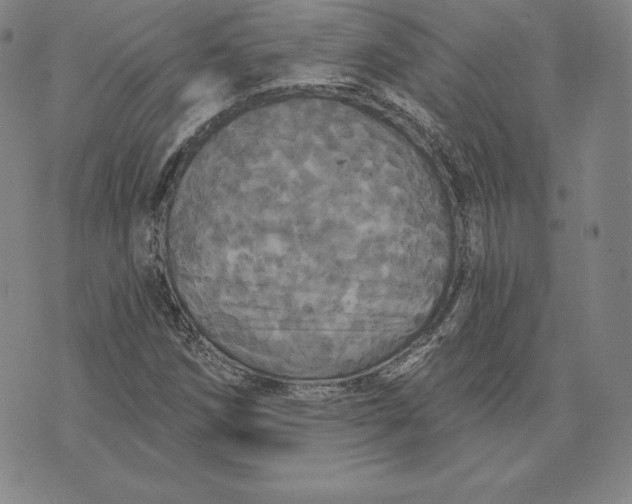 X0000074011258200609111615