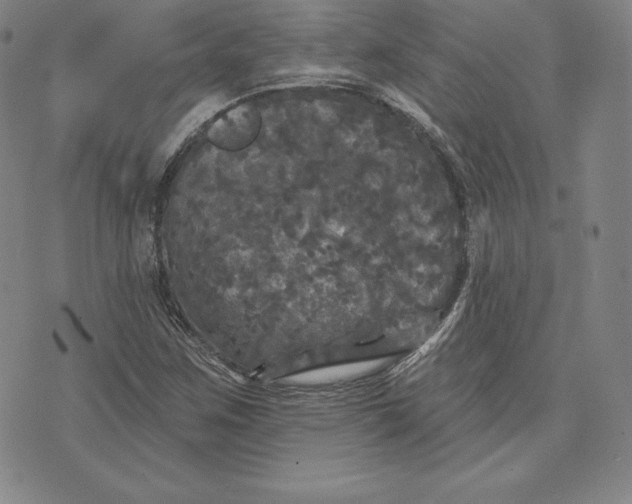 X0000074011259200609111615