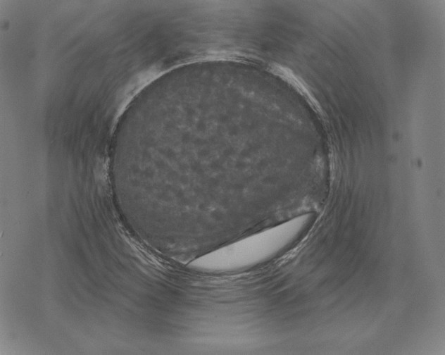 X0000074011260200609111615