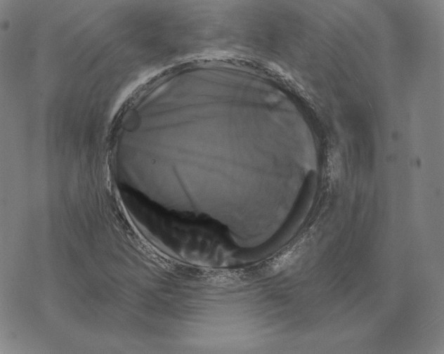 X0000074011262200609111614