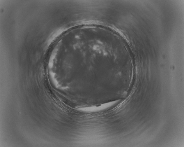 X0000074011263200609111614