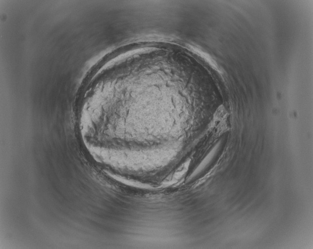 X0000074011264200609111614