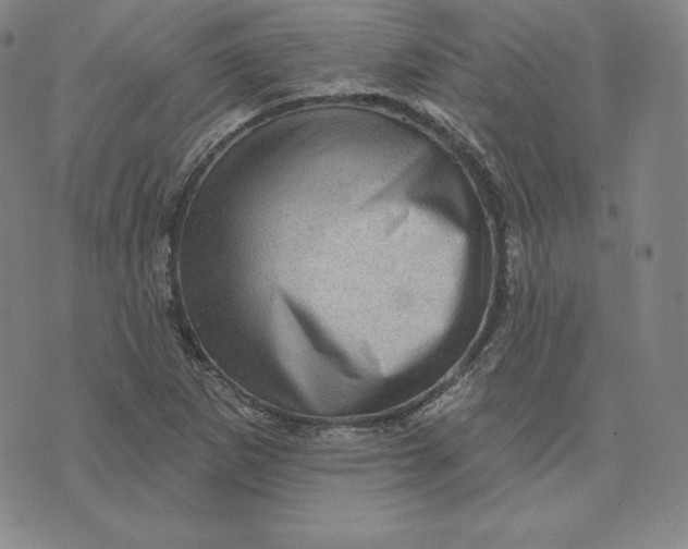 X0000074011265200609111614