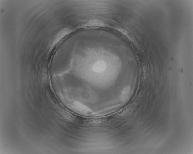 X0000074011266200609111614