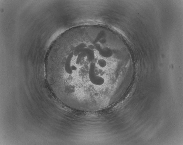 X0000074011267200609111614