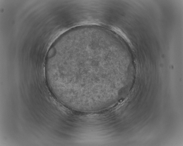 X0000074011268200609111614