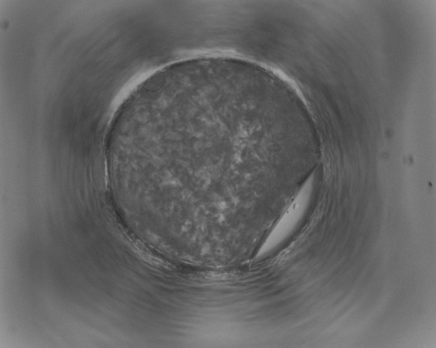 X0000074011271200609111614