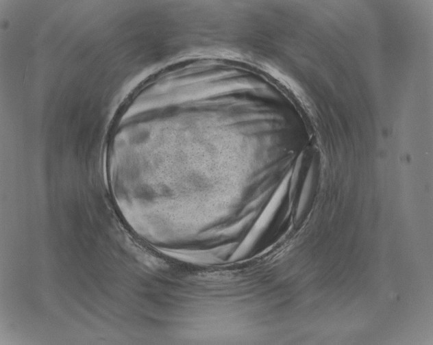 X0000074011272200609111614