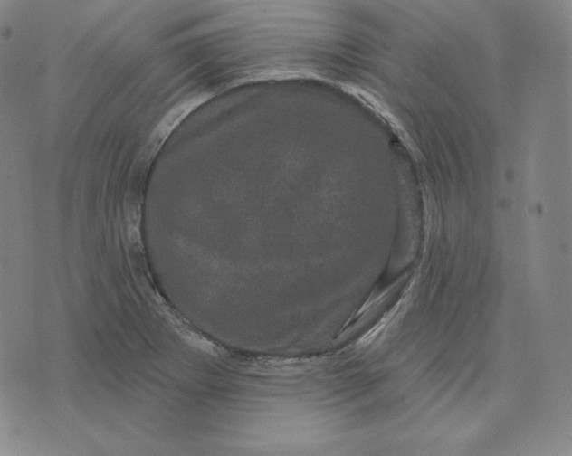 X0000074011273200609111614