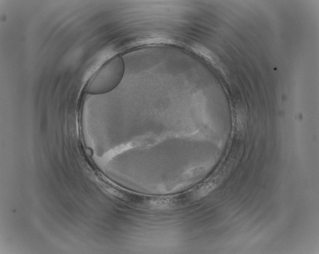 X0000074011274200609111614