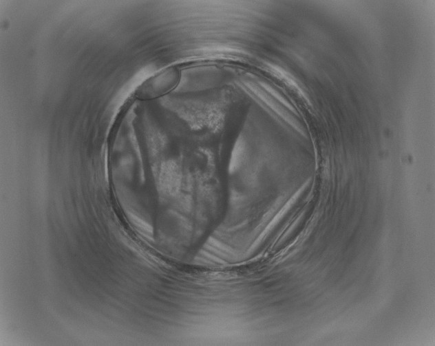 X0000074011275200609111614