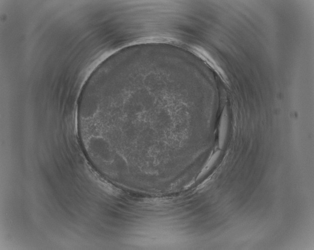 X0000074011276200609111614