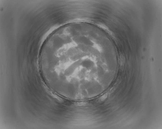 X0000074011278200609111614