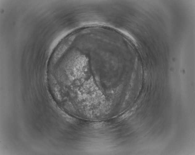 X0000074011279200609111614