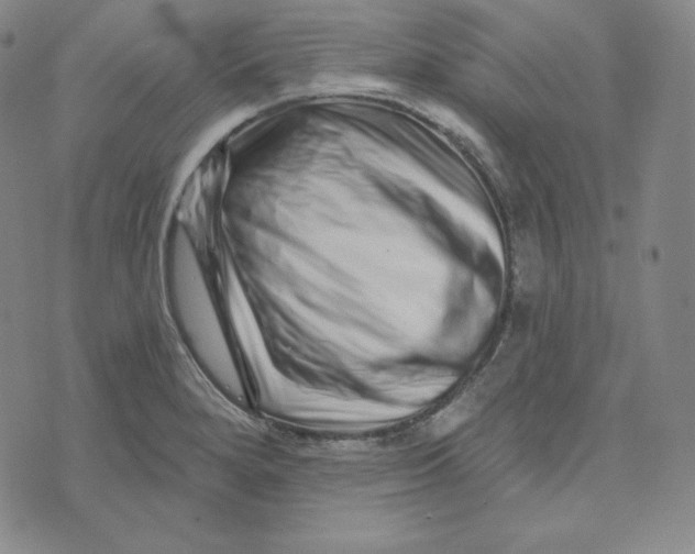 X0000074011280200609111614