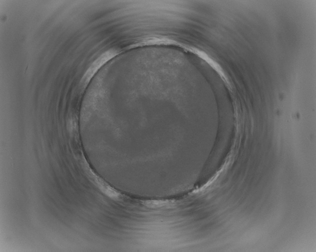 X0000074011281200609111614