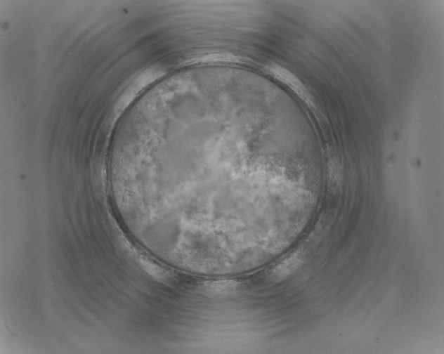 X0000074011282200609111614