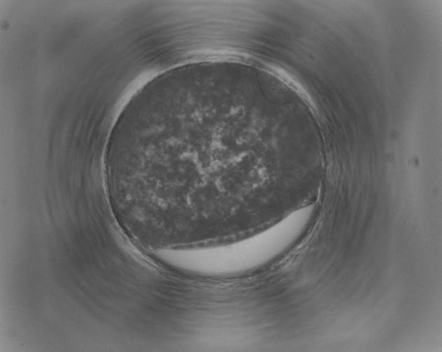 X0000074011283200609111614