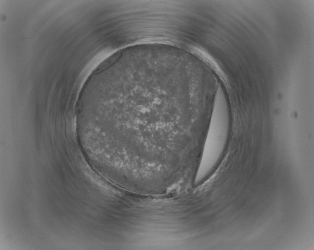 X0000074011284200609111614