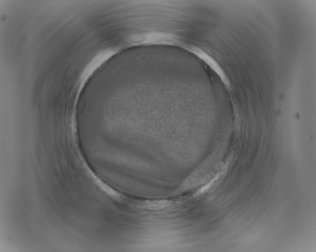 X0000074011285200609111614