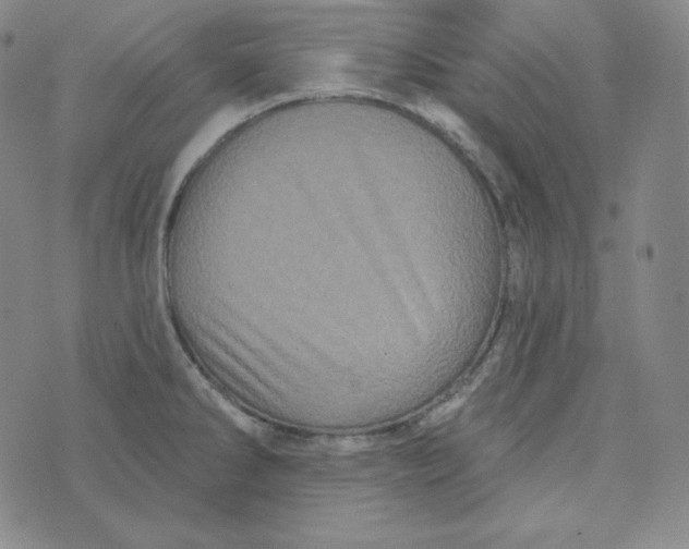 X0000074011286200609111614