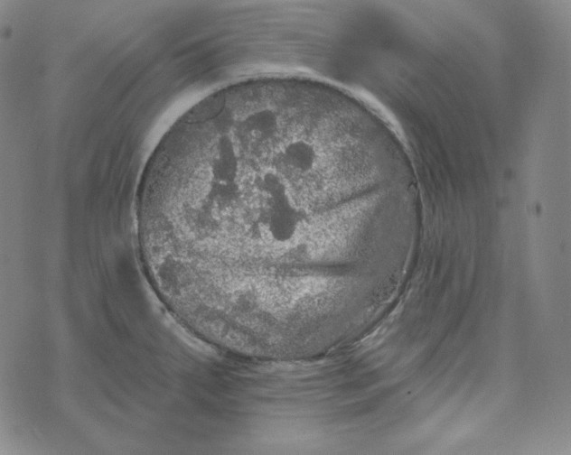 X0000074011287200609111614