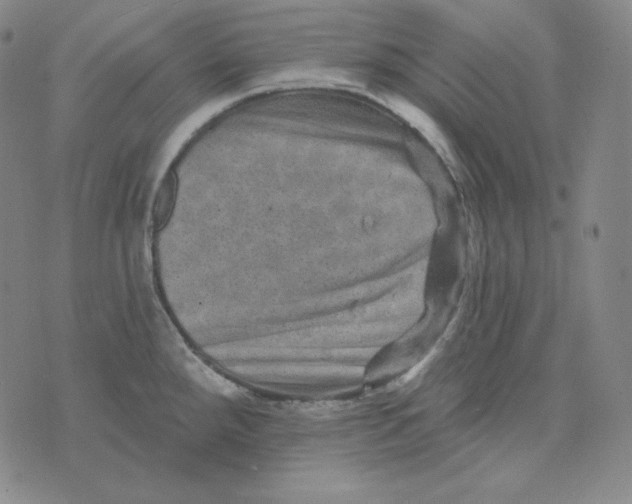 X0000074011288200609111614