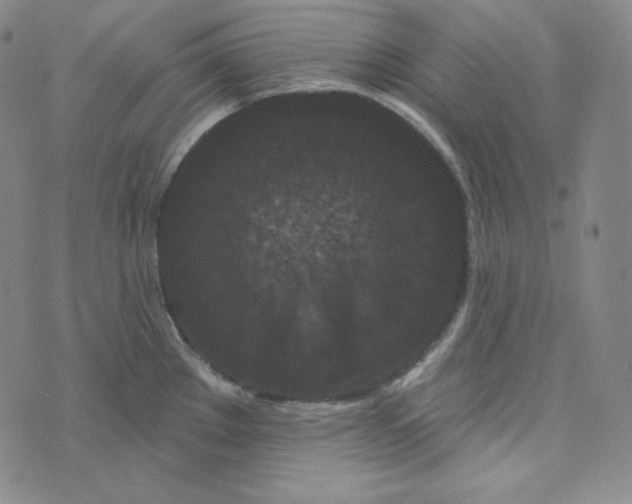 X0000074011289200609111614