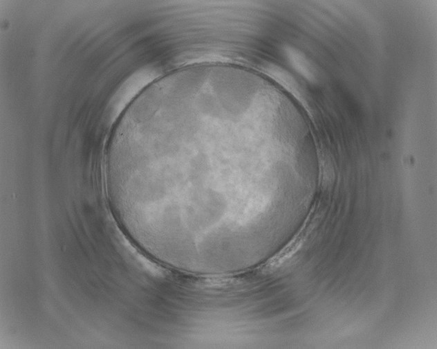 X0000074011290200609111614